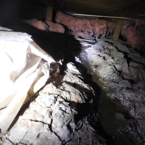 Moisture issues in crawl space