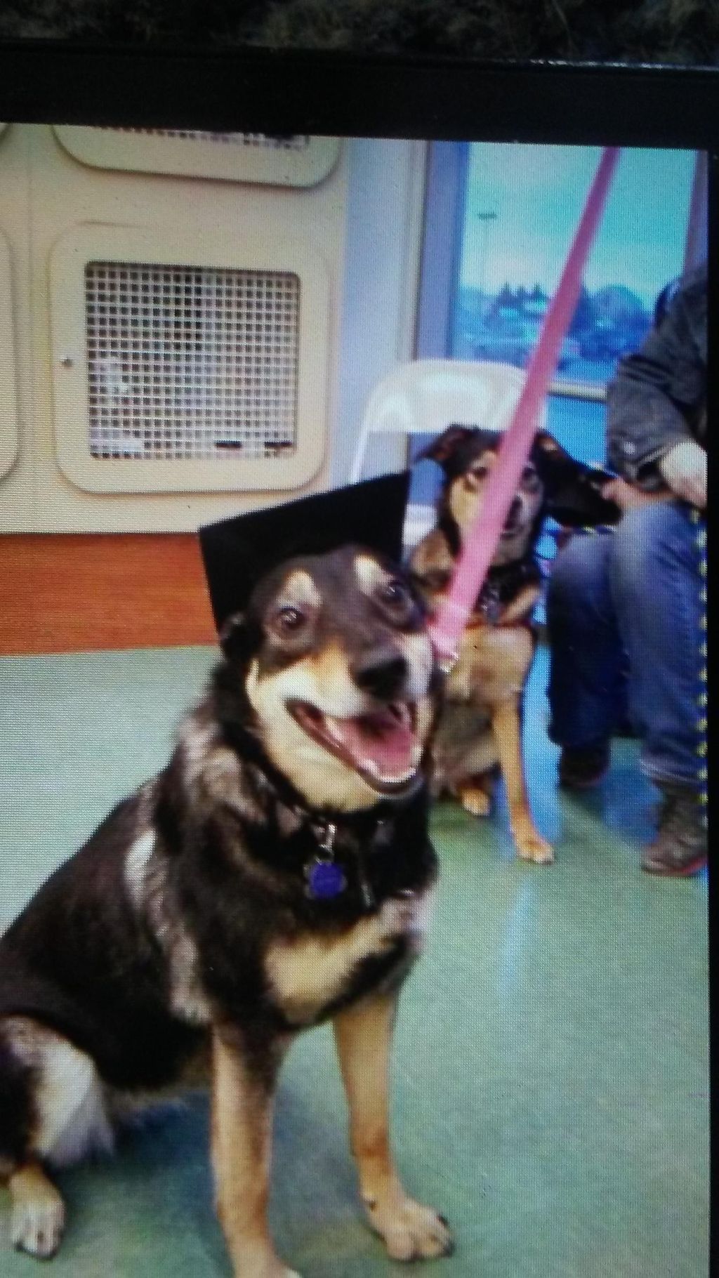 This is Tina on week 6 her graduation from trainin