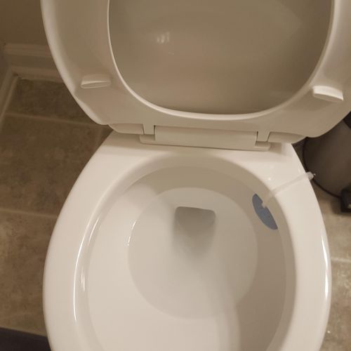 spotless toilet