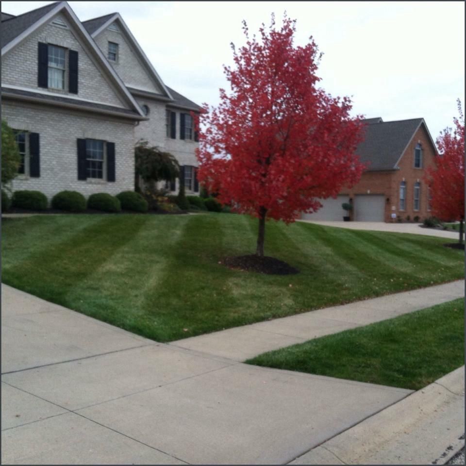 Integrity Landscaping & Lawn Care