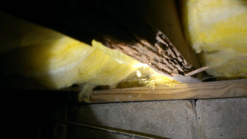 Termite Damage