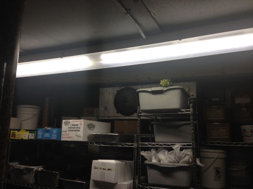 T8 LED retrofit in a walk-in cooler - January 2015