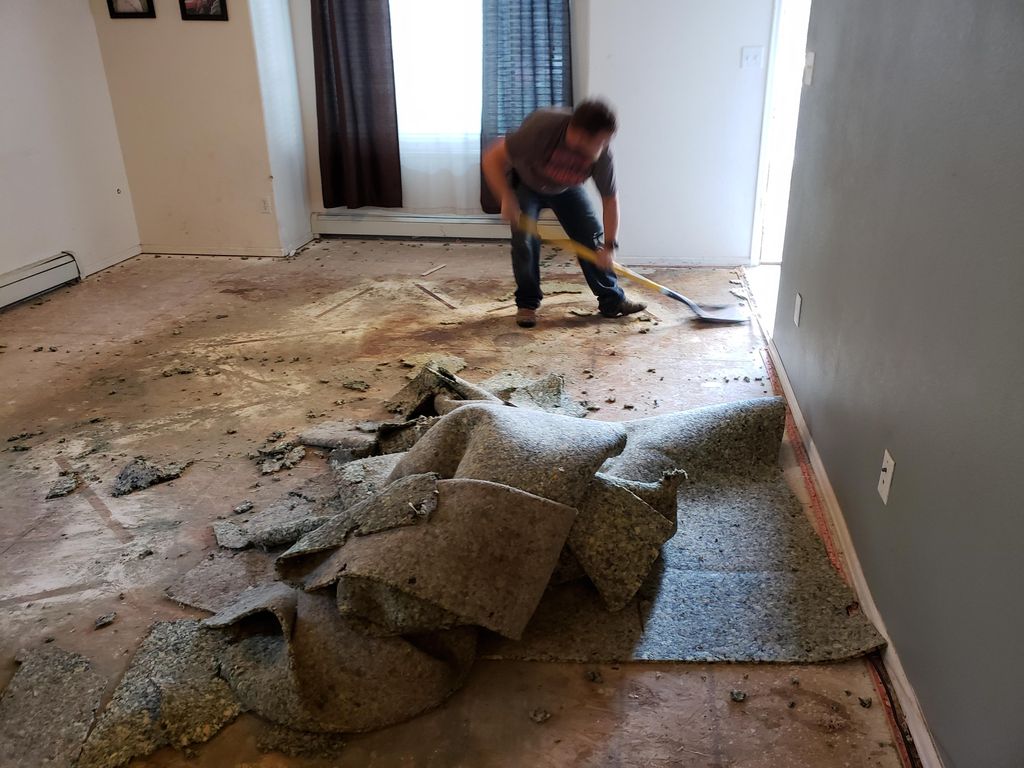 tear out for vinyl floor install