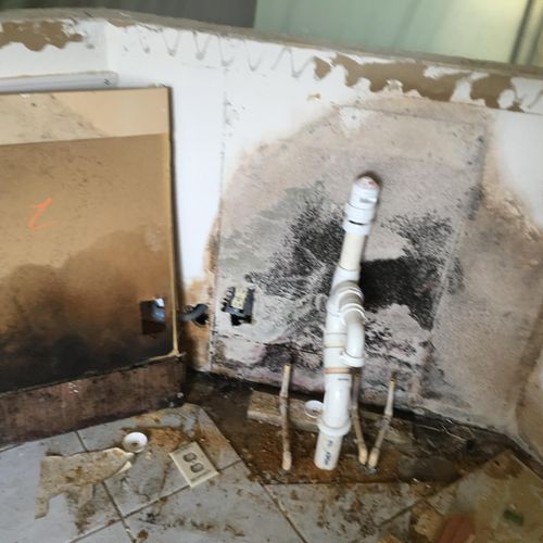 Mold growth from ongoing leak under sink base cabi