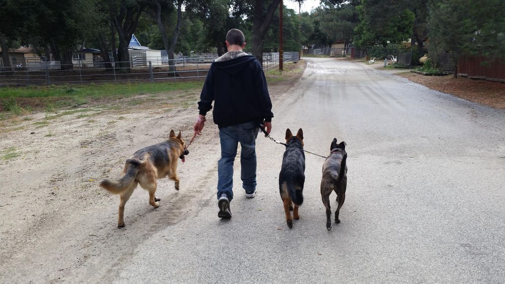 Daily exercise is very important. A good leader ga