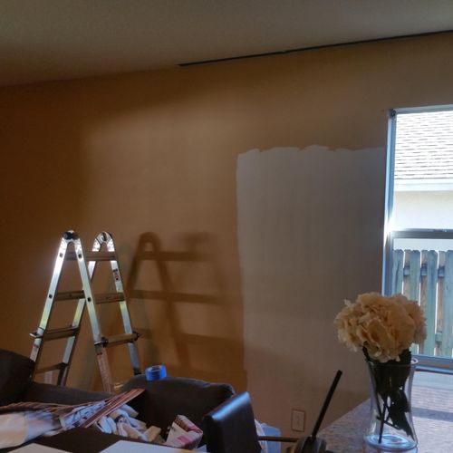 Interior and exterior painting 