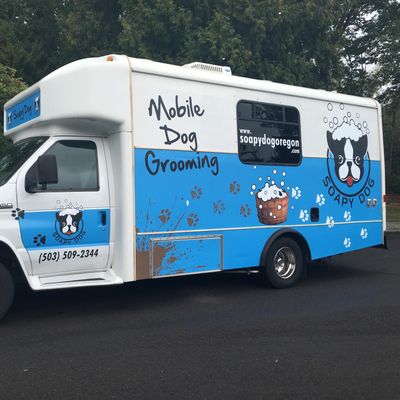 Dog groomer mobile hot sale service near me