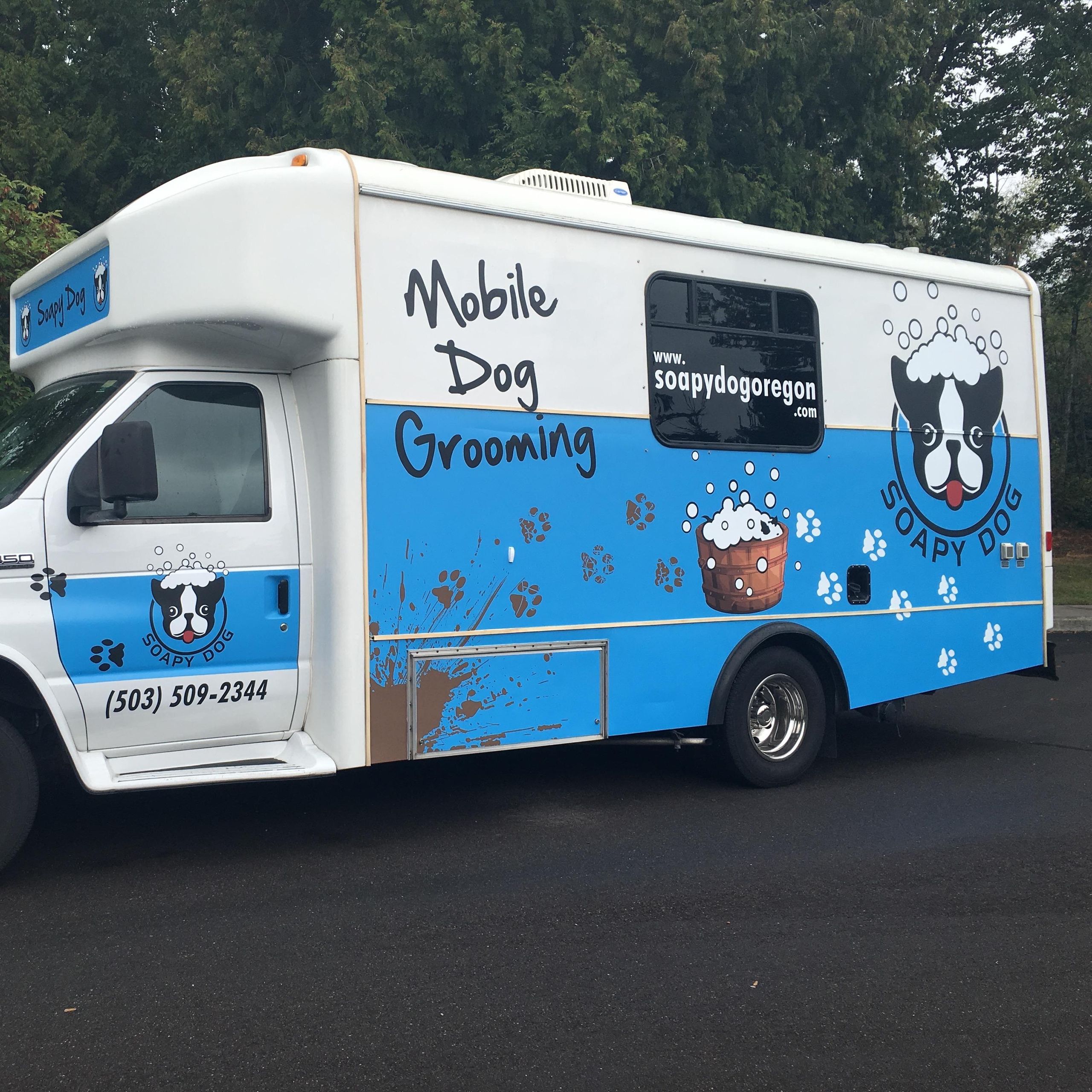 mobile dog grooming near me        <h3 class=