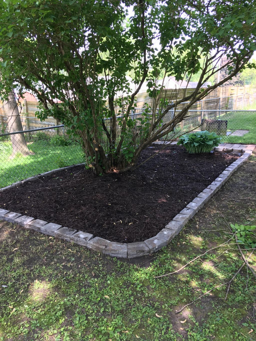 Results from a mulch bed and paver path project