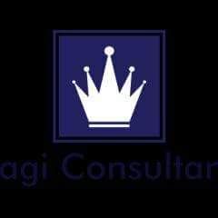 Magi Consultants, LLC