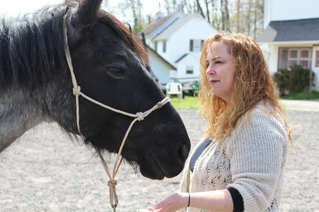 Animal Reiki with Horses
