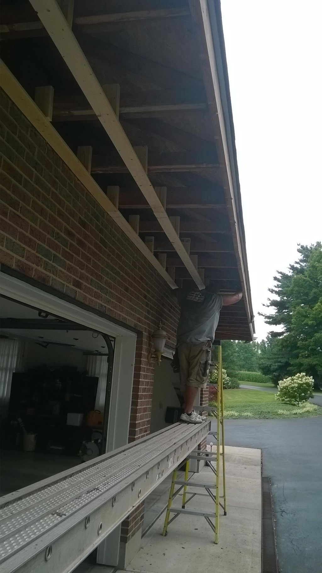 new sophitt going in