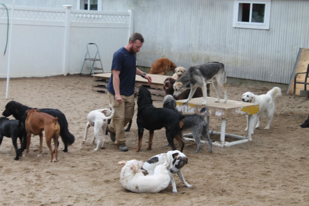 Supervised play groups!