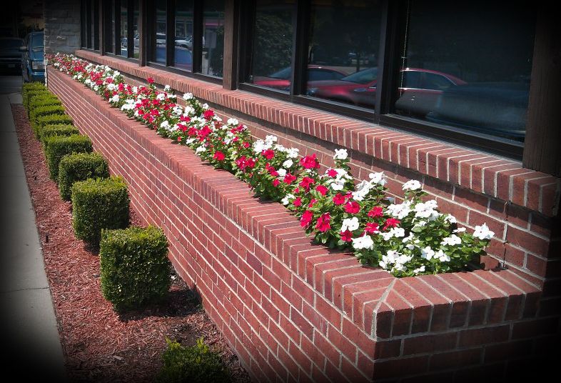 Spring Flowers are such a Beautiful Site!