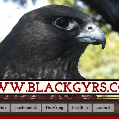 BlackGyrs Web Development