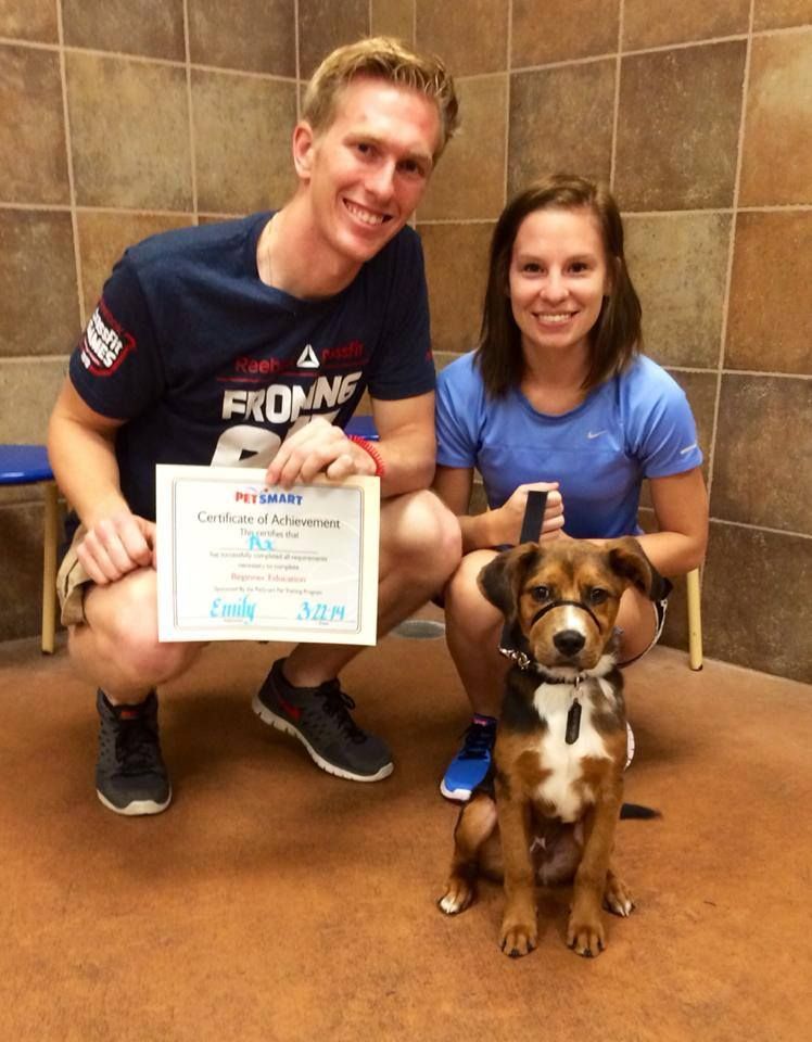 Petsmart puppy class graduates 2013!