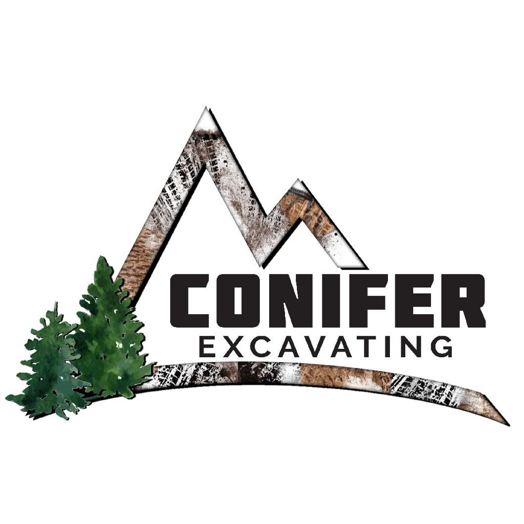 Conifer excavating