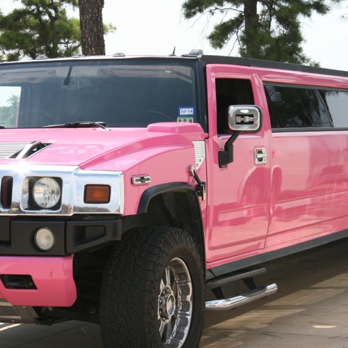 18 Passenger Pink Hummer