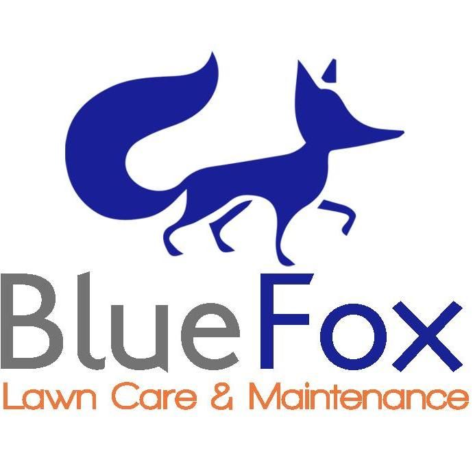 BlueFox Outdoor Living, LLC