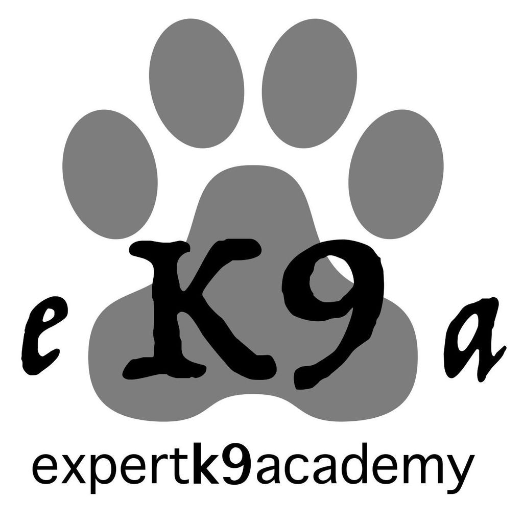 Expert K9 Academy