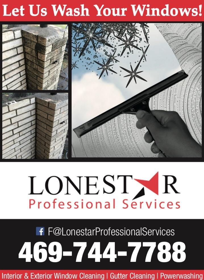Lonestar Professional Services