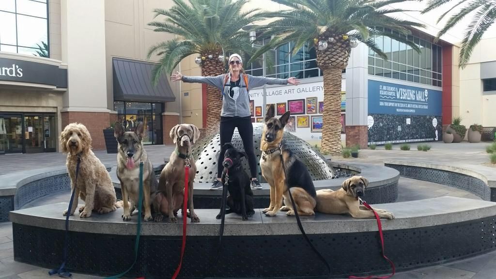 Downtown Summerlin Show-offs 