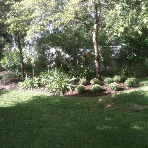Complete re-do of back yard