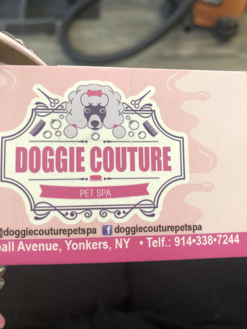 Doggie Couture Pet Spa