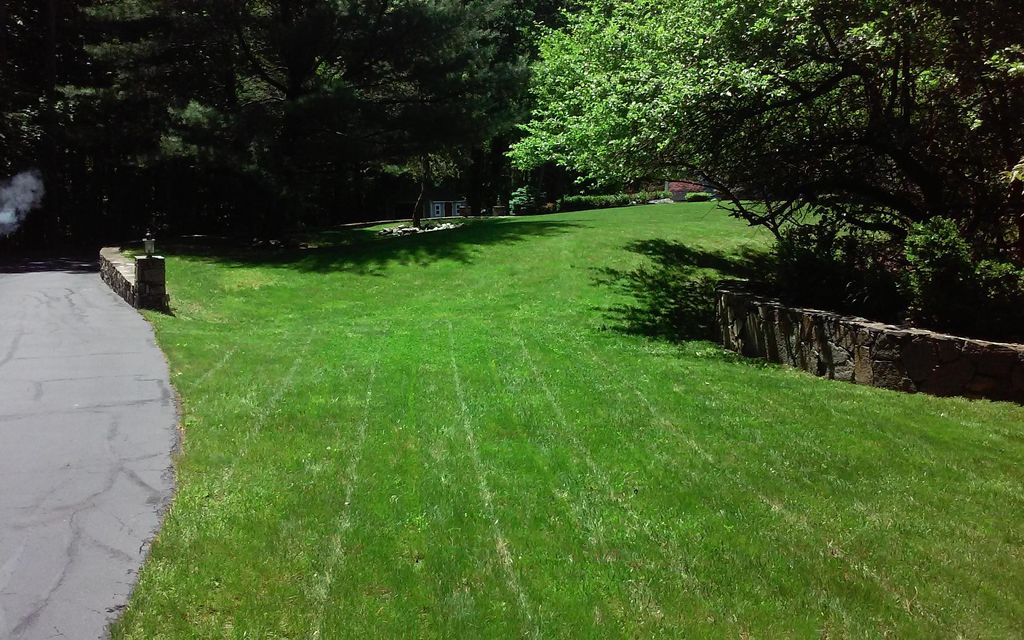 Large Lawns