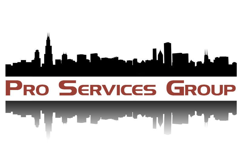 Pro Services Group inc