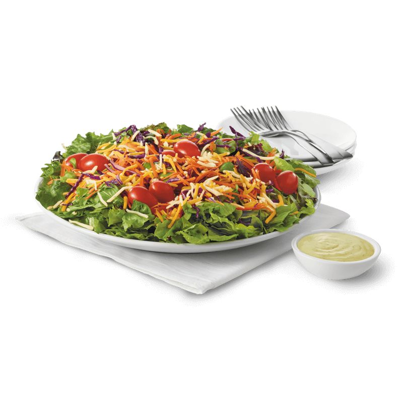 Fresh Garden Salad 
