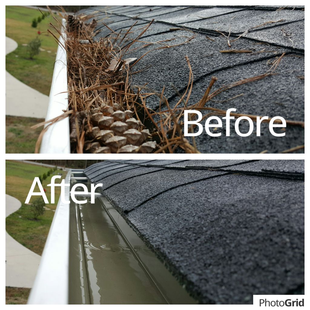 Rain Gutter Cleaning