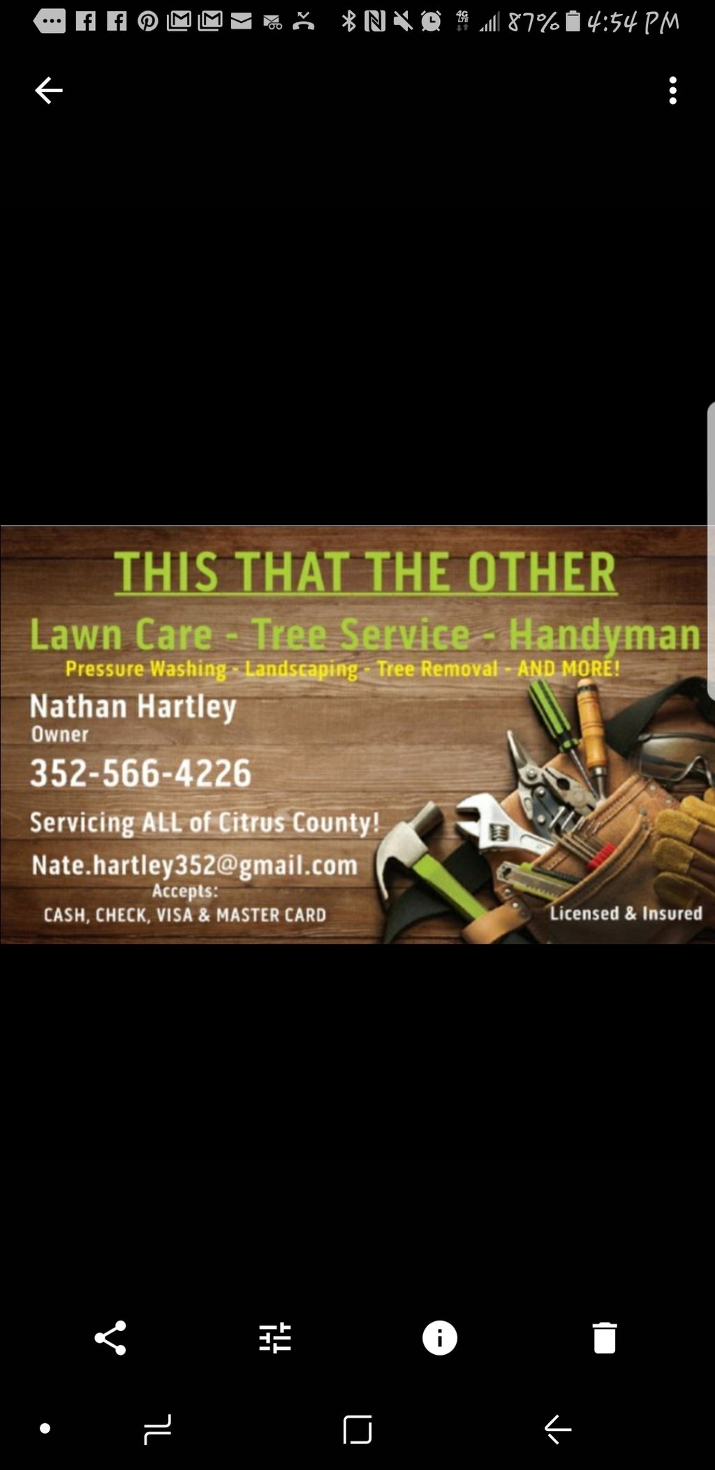 This That The Other Lawn Care Tree Service
