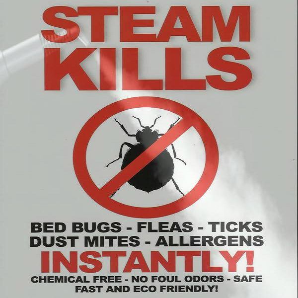 HALLS VAPOR DRY STEAM KILLS INSTANTLY. Made for Me
