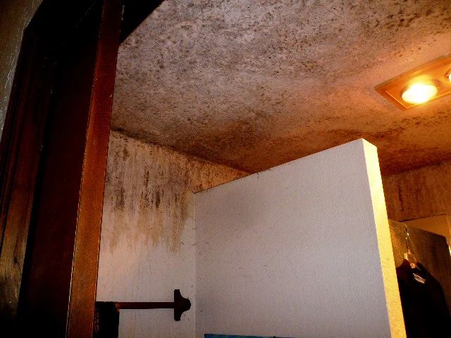 Mold in the bathroom - before treatment