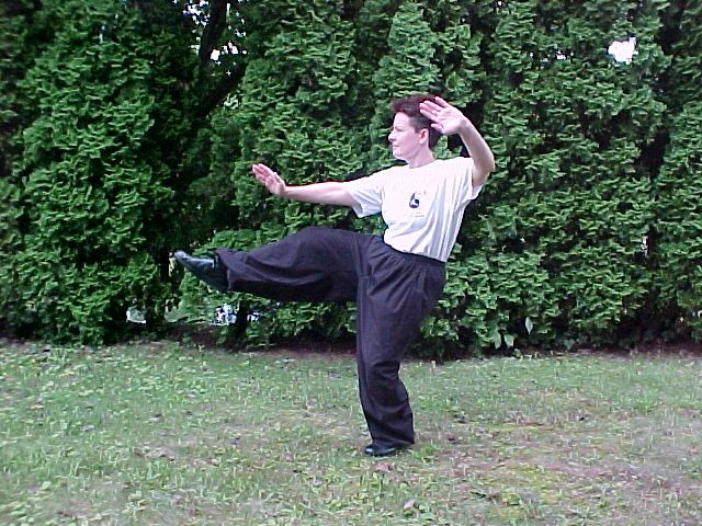 Here I am in the back yard demonstrating T'ai Chi 