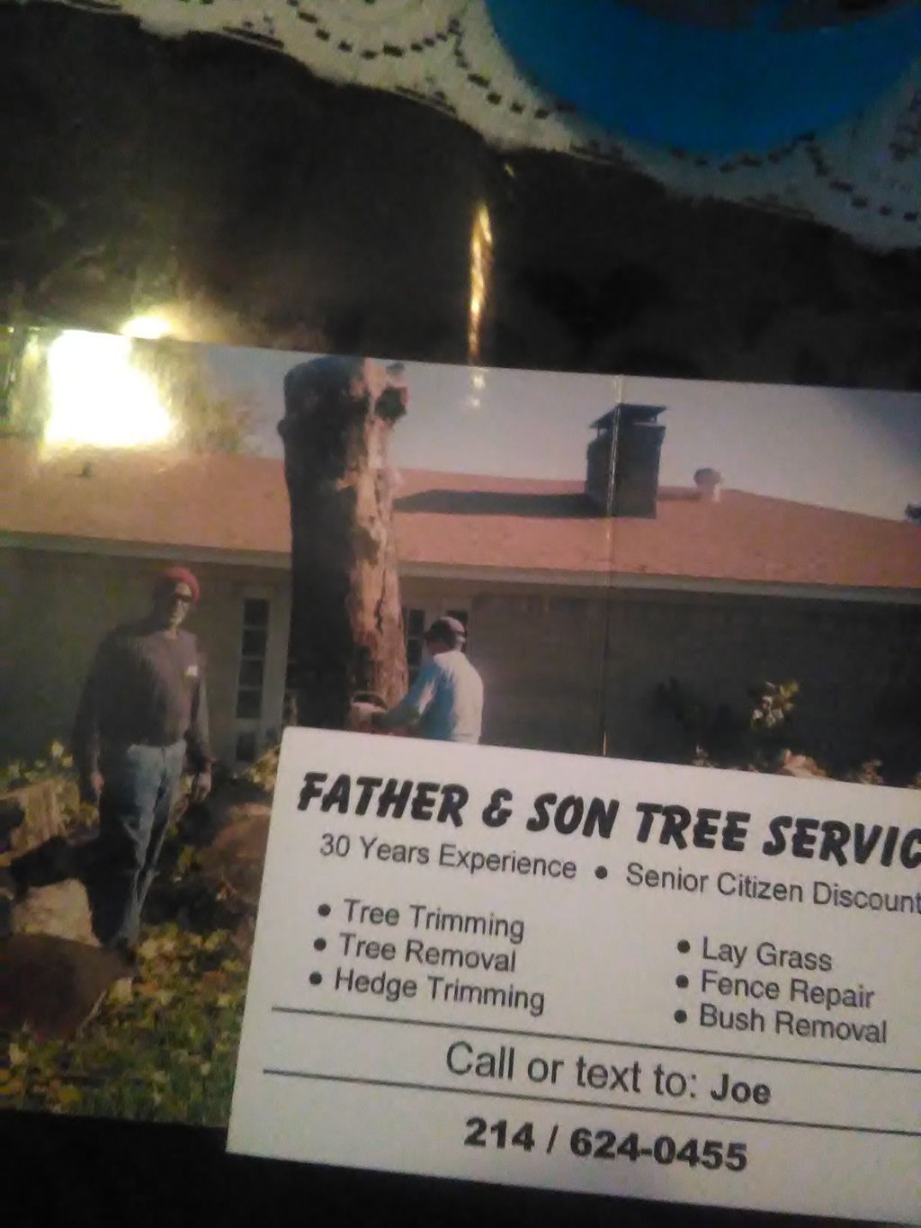 Father & Son Tree Service