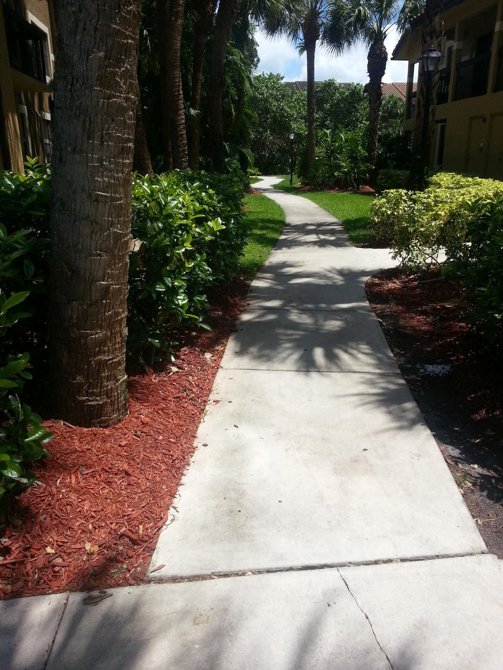 A huge running trail will give dogs the optimal ex