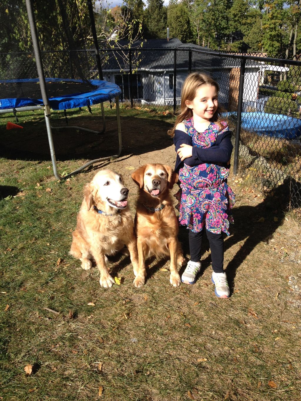 Random and Simi doing sit stay with my niece.
