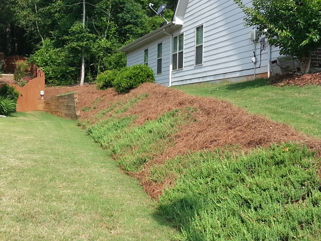 New Pinestraw