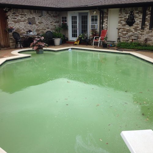 Green pools taken care of in days