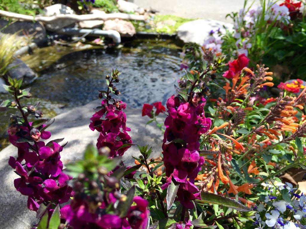 Sunset Beach Water Feature