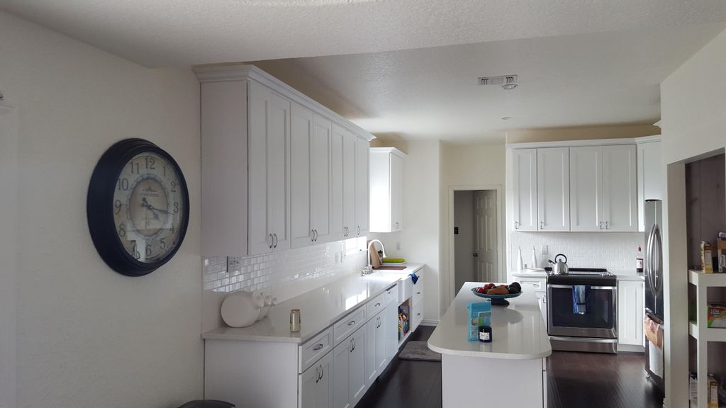 Kitchen remodel: 21 cabinets upper and lower) with
