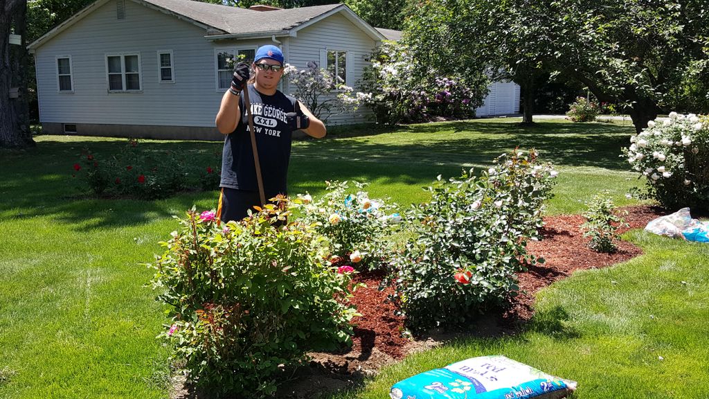 We planted 18 rose bushes, dug the beds and laid m