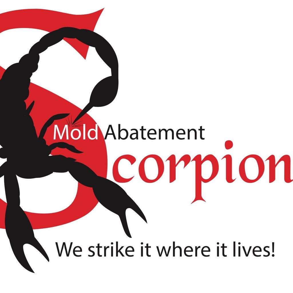 Scorpion Mold Abatement