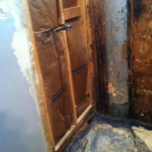 Remove and replace water damaged framing in shower