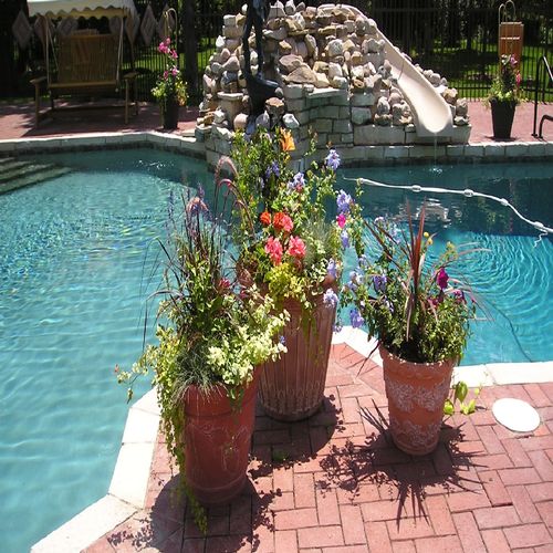 Summer containers by pool