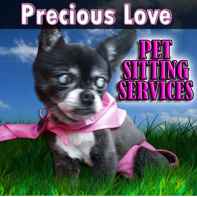 Precious My Love Pet Sitting Services