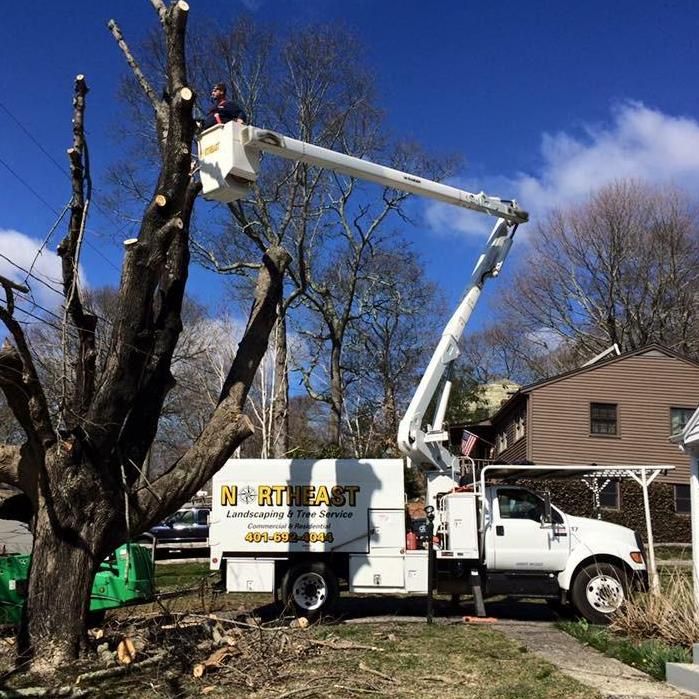 Northeast landscaping & tree service