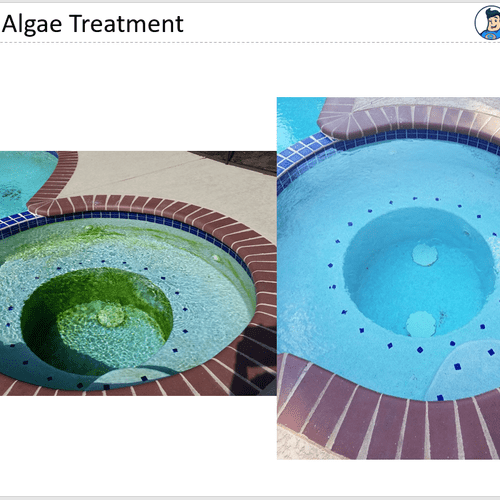 After our green algae treatment. This is a slide f